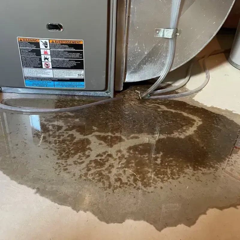 Appliance Leak Cleanup in Greece, NY